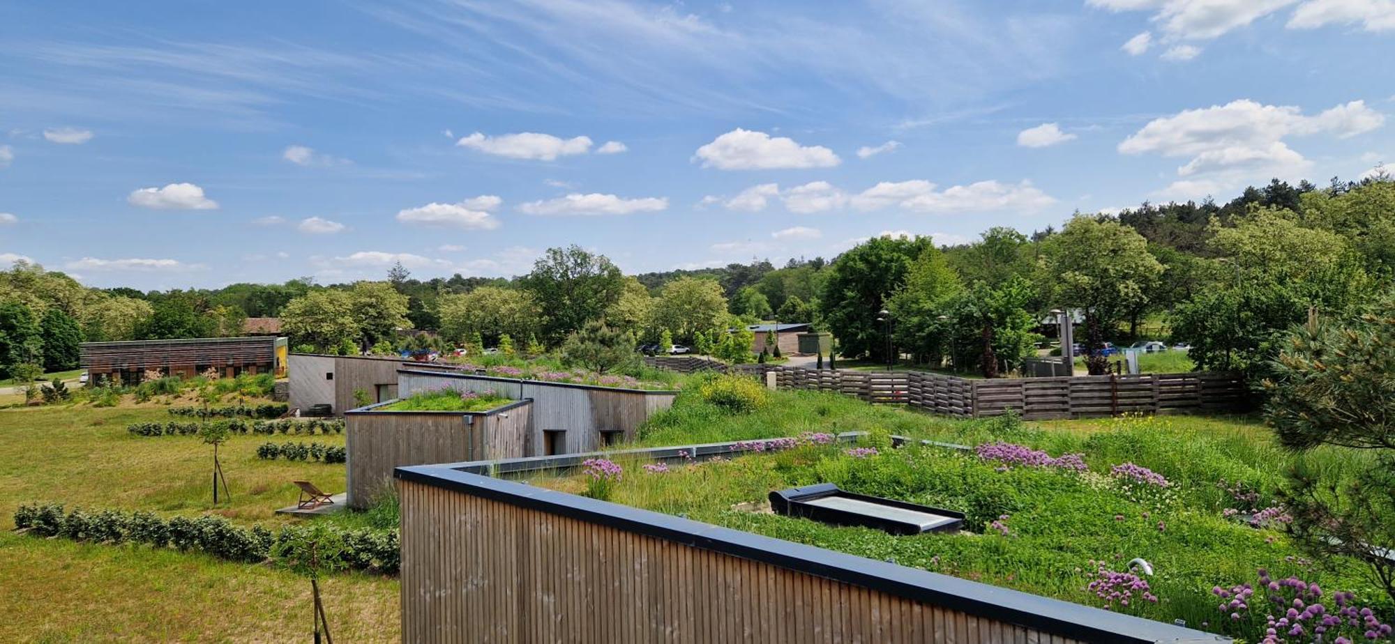 Domaine De L'Epau Eco-Resort Yvré-lʼÉvêque 외부 사진